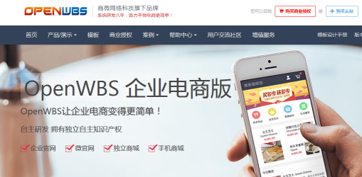 如何避免選擇商城系統的雷區？